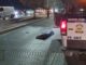 Hombre pierde la vida tras ser atropellado en la vialidad Sacramento