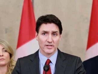 Canadá designará a cárteles mexicanos como organizaciones terroristas