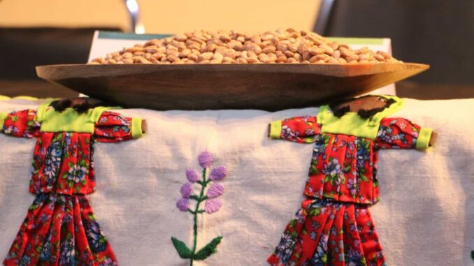 Fortalece Gobierno del Estado capacidades de productores de frijol en Chihuahua