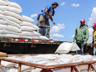 Impulsa Estado el desarrollo rural con estrategias de infraestructura, insumos y conservación de recursos naturales