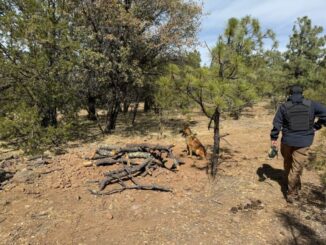 CLB localiza fosa y recupera cuerpo en La Mesa de Avena