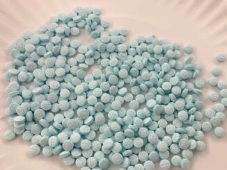 Incautaciones de fentanilo en EE.UU. disminuyeron 41.5% durante febrero: Sheinbaum