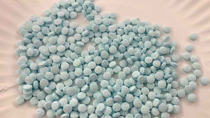 Incautaciones de fentanilo en EE.UU. disminuyeron 41.5% durante febrero: Sheinbaum