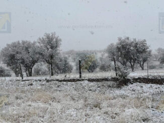 Frentes fríos provocarán vientos fuertes y posible nieve en Chihuahua