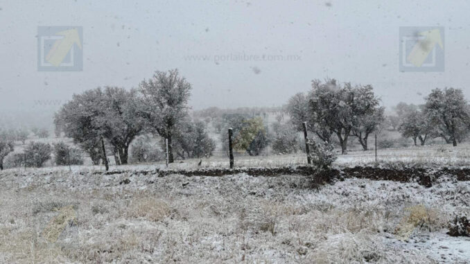 Frentes fríos provocarán vientos fuertes y posible nieve en Chihuahua