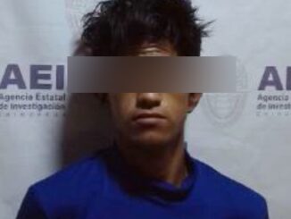 Sentenciado a dos años de prisión por un robo que cometió en el parque Lerdo