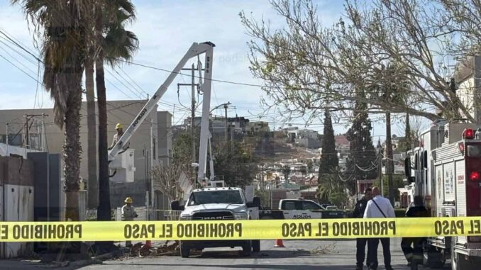 Trabajador que podaba una palmera queda colgado a gran altura