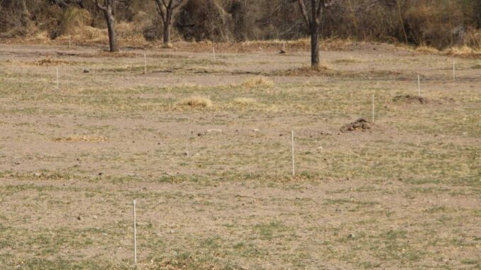 Entrega Desarrollo Rural las primeras obras de infraestructura hídrica en Aldama