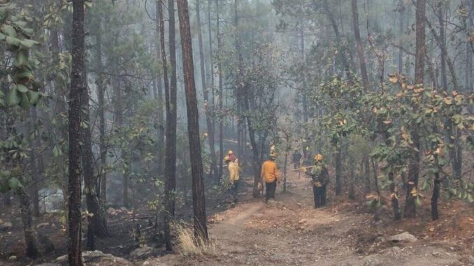 Trabajan 272 combatientes para abatir los siete incendios activos en la entidad