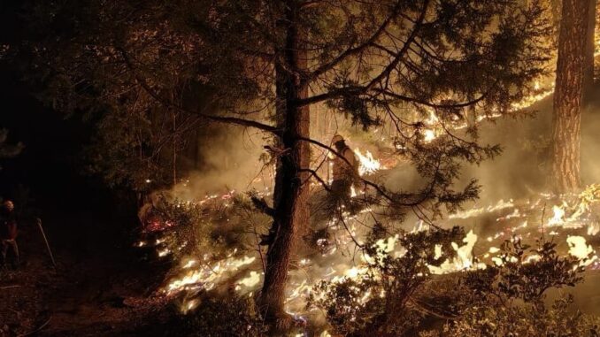 Combaten 381 brigadistas los 13 incendios forestales activos en 8 municipios del estado