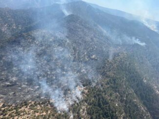 Trabajan 211 combatientes para abatir los 11 incendios activos en la entidad: SDR