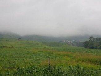 Prevén vientos fuertes para los próximos días