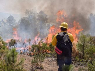 Autoridades estatales y federales acuerdan mantener coordinación en combate de incendios forestales