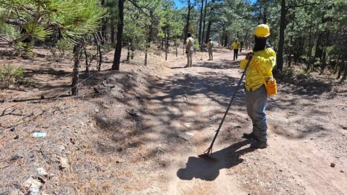 Incrementa número de combatientes para atender incendios forestales activos en el estado