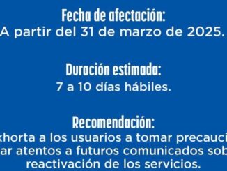 Estará fuera de servicio sistema de citas y REPUVE por auditoria