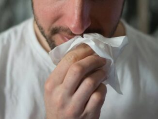 Influenza aviar: qué es, cómo se contagia y cómo prevenirla