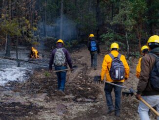 Registra SDR tres incendios forestales activos en el estado