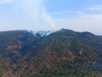 Descartan años en viviendas tras incendios en Urique