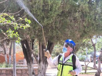 Fumiga municipio diariamente los espacios públicos de la ciudad para prevenir plagas