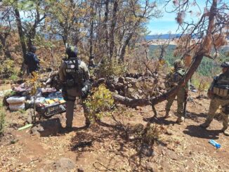 Destruyen campamento de la delincuencia organizada en Madera