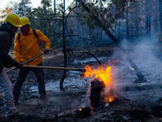 Reporta SDR 13 incendios activos en el estado