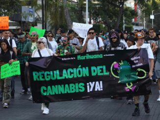 Activistas exigen regulación para consumo y uso recreativo de la mariguana en México