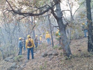 Incendios forestales en la entidad se encuentran controlados y sin riesgo para la población: SDR