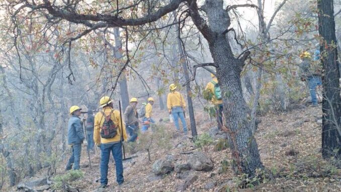 Incendios forestales en la entidad se encuentran controlados y sin riesgo para la población: SDR