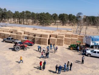 Apoyan con 150 mil pacas de rastrojo a más de 10 mil productores ante efectos de la sequía