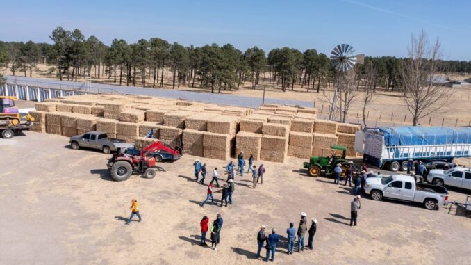 Apoyan con 150 mil pacas de rastrojo a más de 10 mil productores ante efectos de la sequía