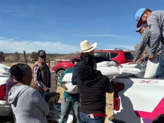 Entregan más de 1,200 apoyos alimentarios a familias del municipio de Temósachic