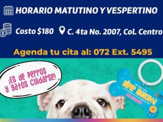 Ofrece IMPAS servicio de esterilización a mascotas en sus instalaciones ubicadas en la calle Cuarta