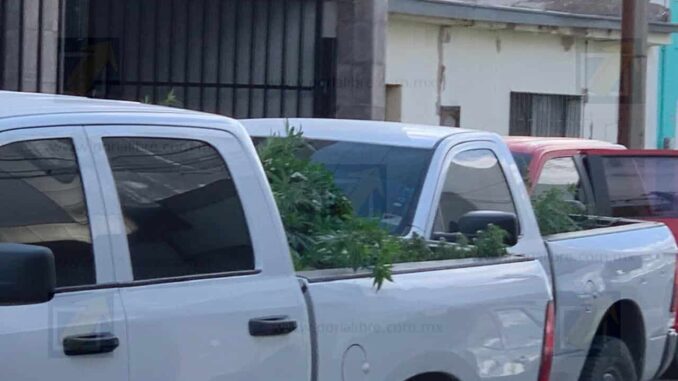 Difunden aseguramiento tras cateo en céntrico hotel