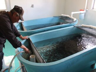 Abre convocatoria para acceder a apoyos en el sector pesquero y acuícola en Chihuahua