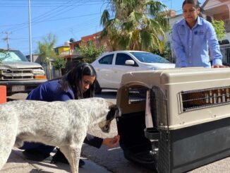 Capacitan en campo a integrantes de la nueva brigada de Rescate Animal del Municipio