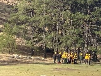 Refuerza Estado acciones de seguridad y protección civil ante incendios forestales