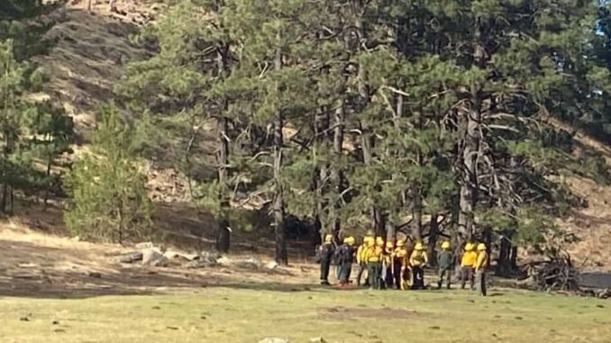 Refuerza Estado acciones de seguridad y protección civil ante incendios forestales