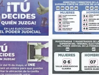 “No voten influidos por “acordeones” repartidos o publicados en redes”: TSJ  