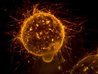 Un estudio en Hong Kong muestra resultados «prometedores» contra tres tipos de cáncer