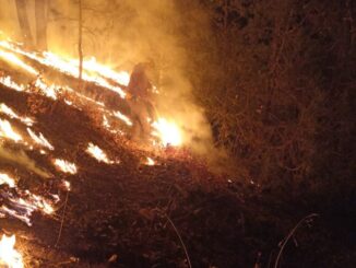 Reporta SDR 12 incendios forestales activos en el estado