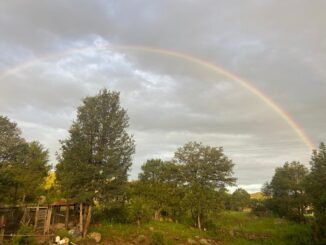 Lluvias de hasta 25 mm en algunos puntos del estado durante las próximas horas