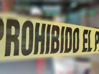 Cuerpos hallados en predio de Reynosa sí son de los integrantes del grupo ‘Fugitivo’