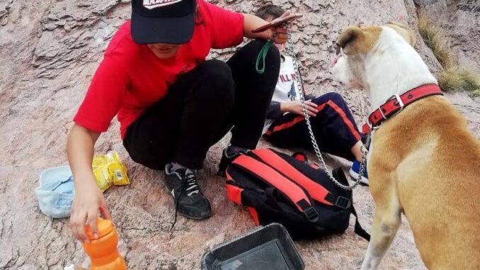 Emite Municipio recomendaciones para proteger a tus mascotas por altas temperaturas